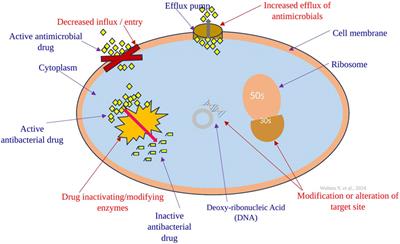 Mechanism of antibacterial resistance, strategies and next-generation antimicrobials to contain antimicrobial resistance: a review